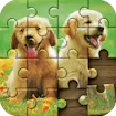 Jigsaw Puzzle