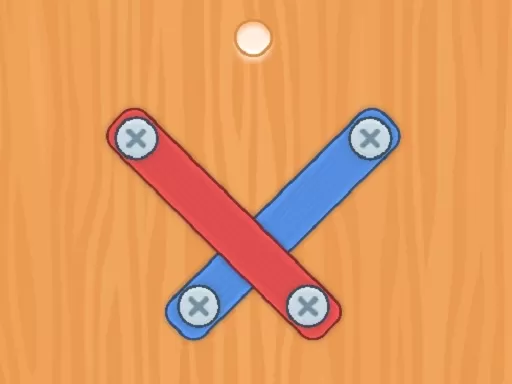 Nuts Bolts Screw Puzzle